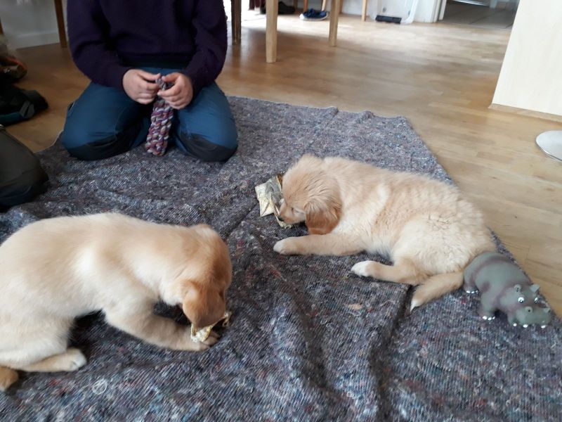 Emily og lillebror er på besøg