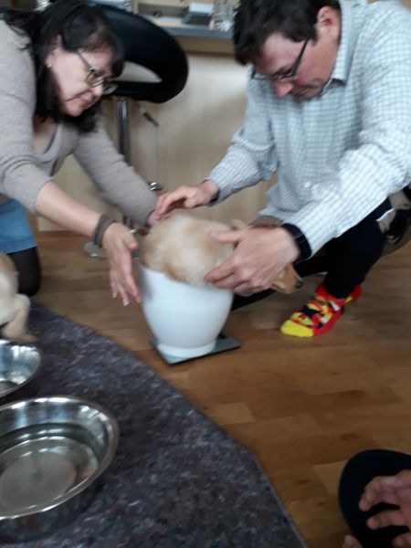 Emily og lillebror er på besøg - den 1. vejning 4,4 kg