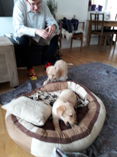 Emily og lillebror er på besøg