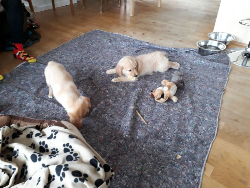 Emily og lillebror er på besøg