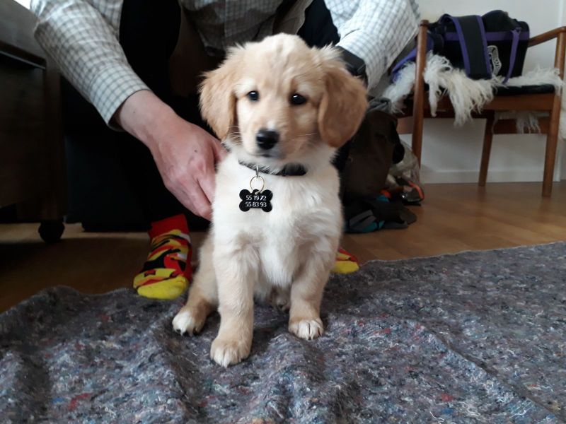 Emily og lillebror er på besøg