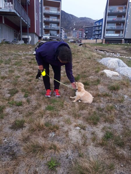 Emily's første gåtur