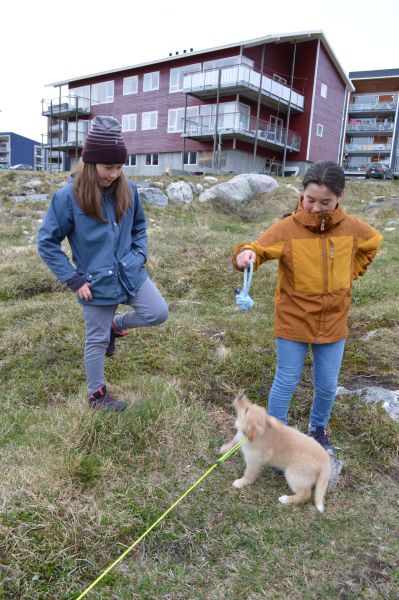 2020-06-09-1726_Emily-Qupanuk-Eugenius-Labansen-Ukaleq-Eugenius-Labansen