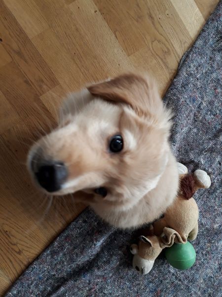 2020-06-10-1903_Emily