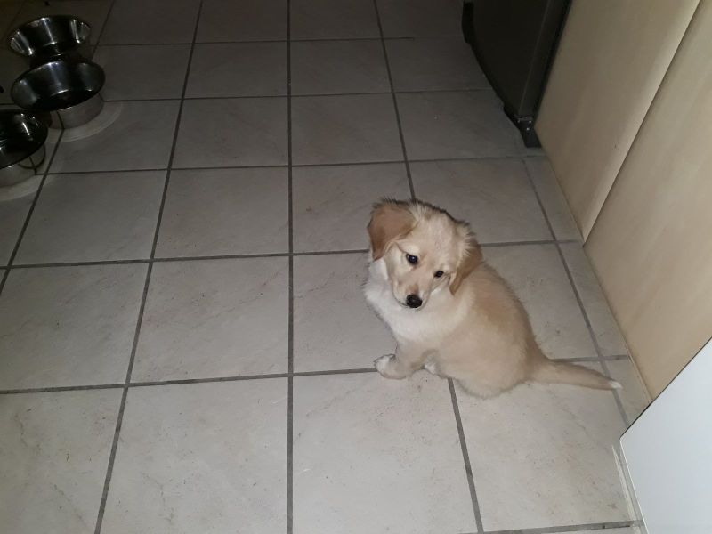 2020-06-10-1904_Emily