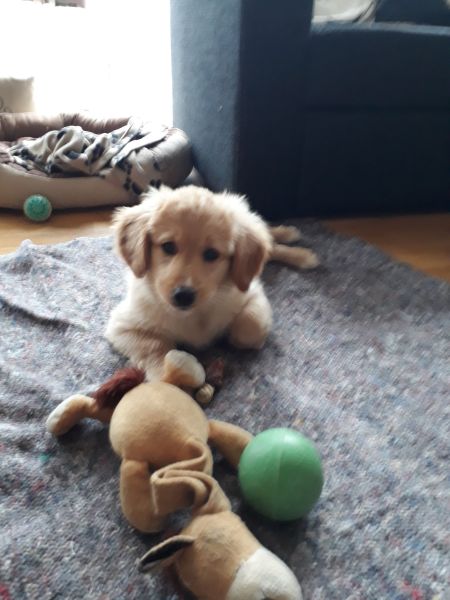 2020-06-10-1912_Emily