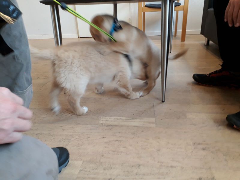 2020-06-15-1347_Emily-Marley