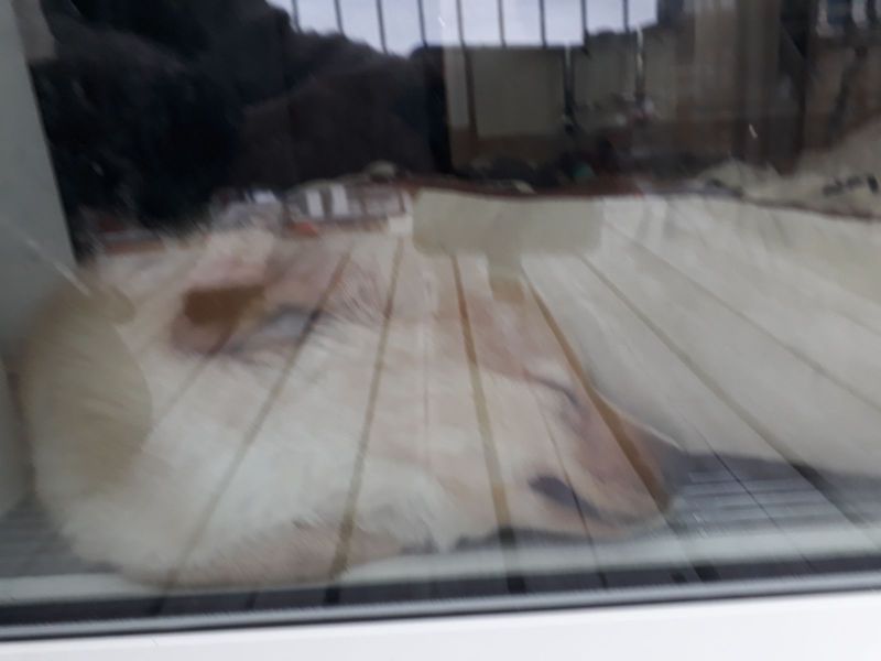 2020-06-19-2215_Emily