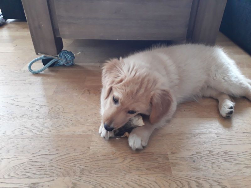 2020-06-22-1811_Emily