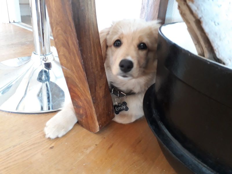 2020-06-30-1807_Emily