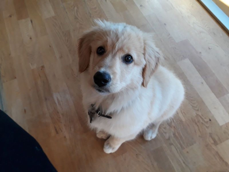 2020-07-01-1953_Emily