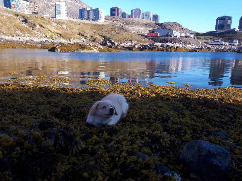 2020-07-01-2107_Emily