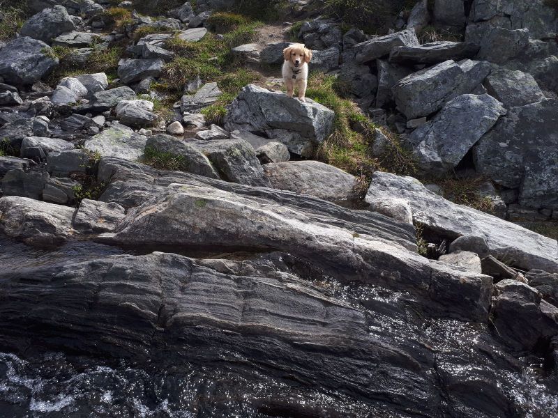 2020-07-02-1253_Emily