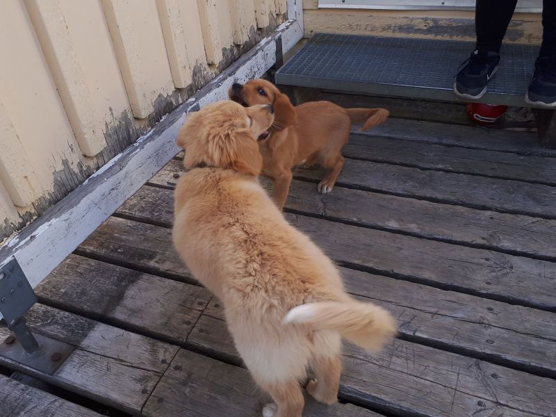 Emily møder sin søster Naala