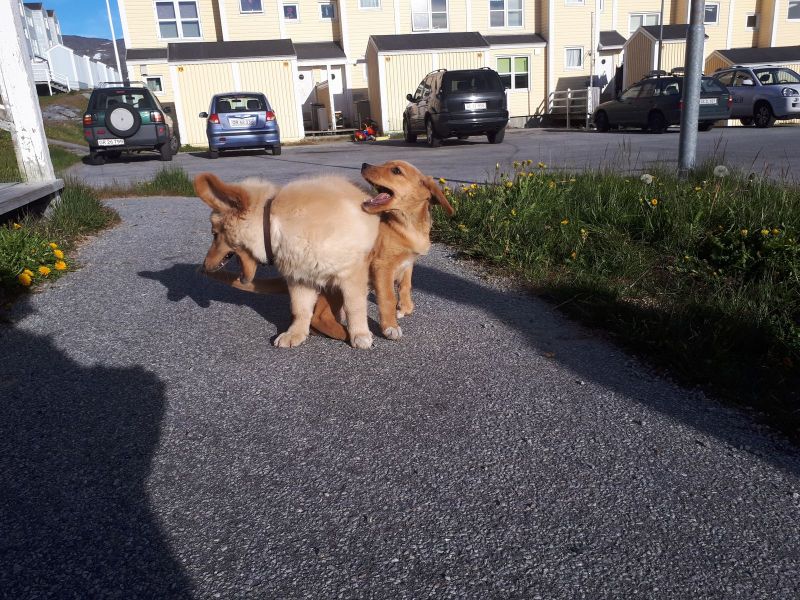 Emily møder sin søster Naala