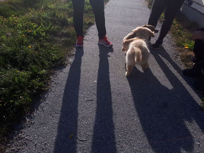 Emily møder sin søster Naalu