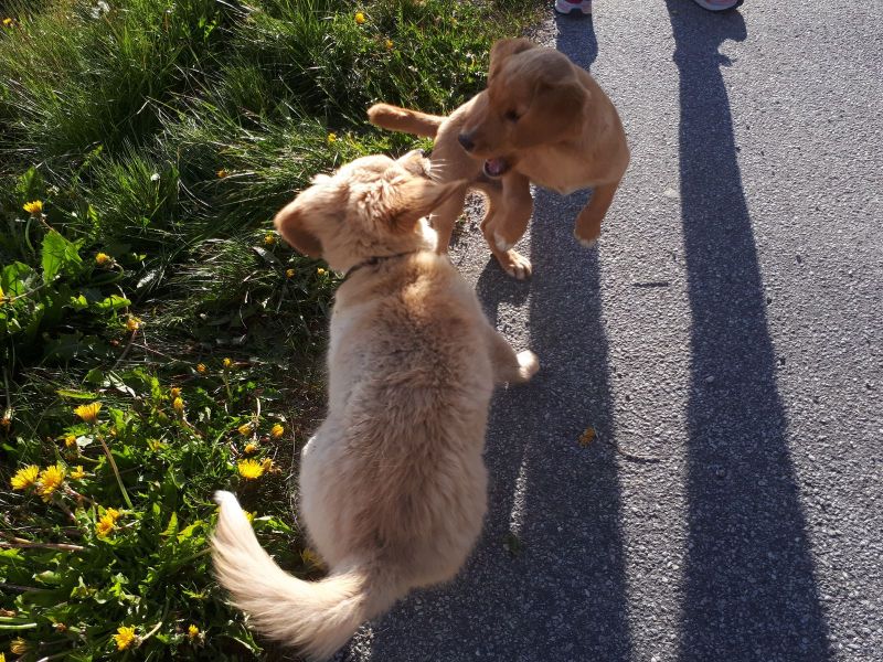 Emily møder sin søster Naala
