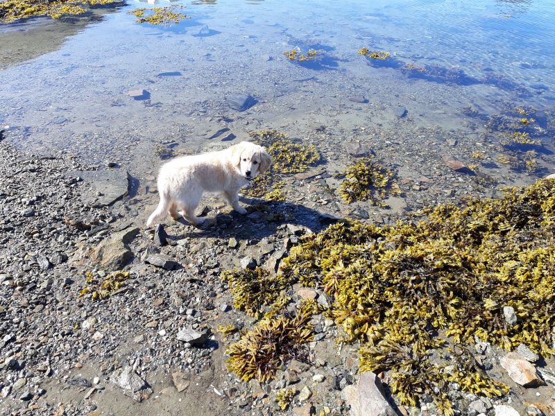 2020-07-03-1010_Emily