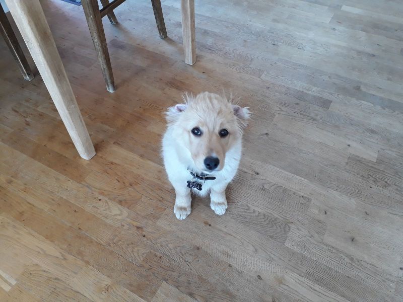 2020-07-03-1143_Emily