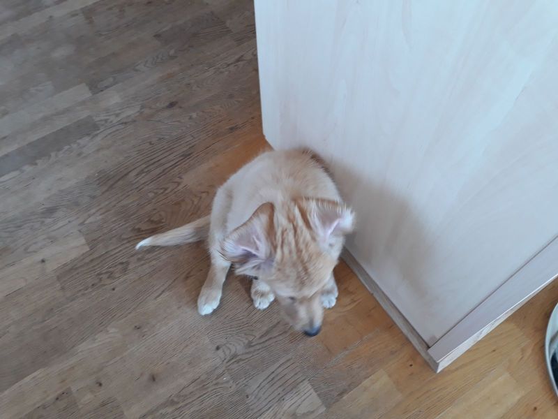 2020-07-03-1143_Emily_2