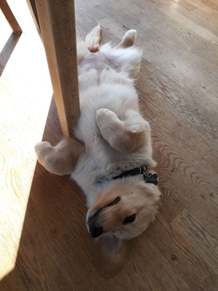 2020-07-03-1801_Emily