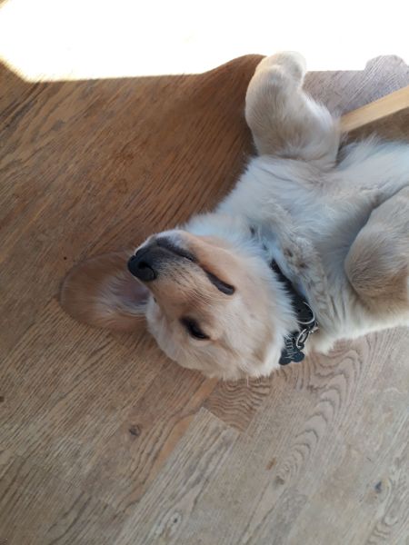 2020-07-03-1801_Emily_2