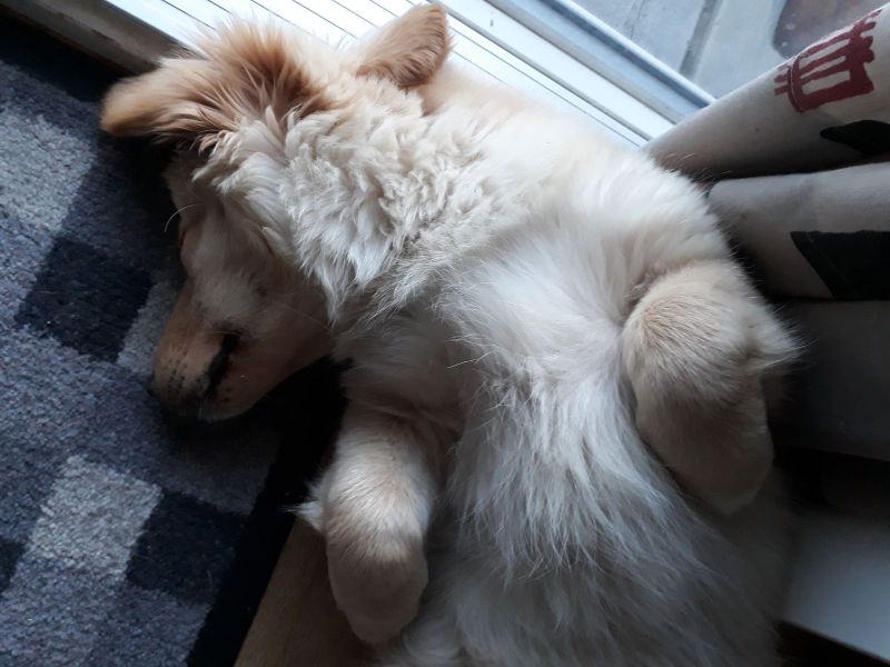 2020-07-03-2304_Emily