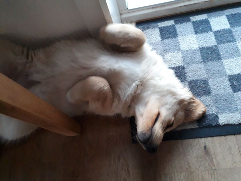 2020-07-03-2316_Emily