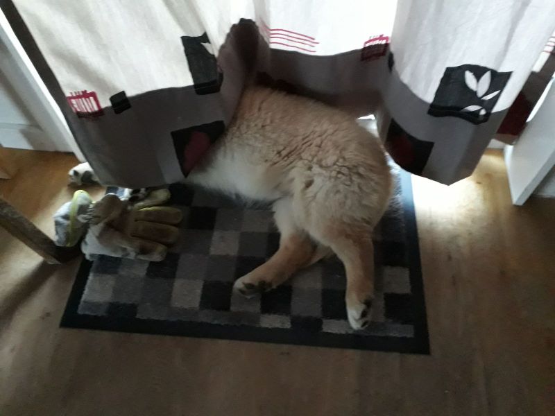 2020-07-04-2158_Emily