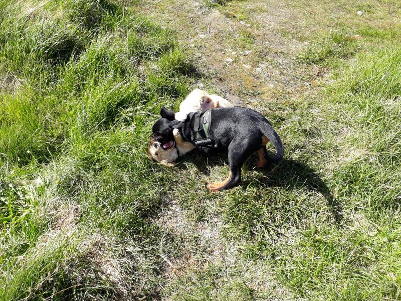 Emily fik besøg af Tyson