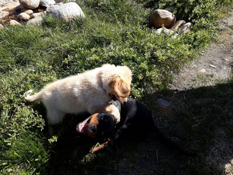 Emily fik besøg af Tyson