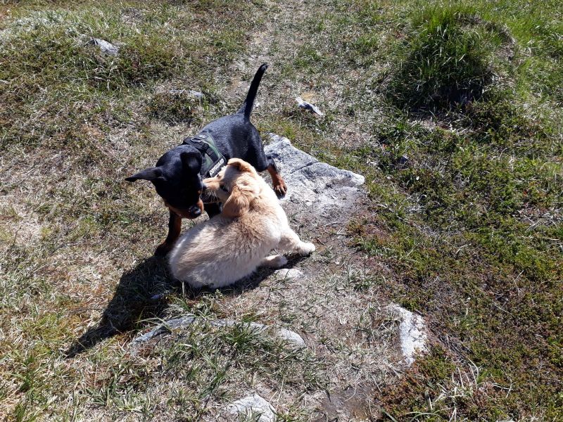 Emily fik besøg af Tyson