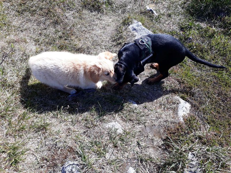 Emily fik besøg af Tyson