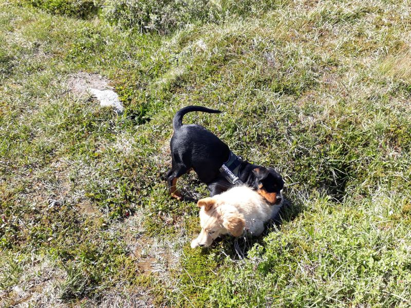 Emily fik besøg af Tyson