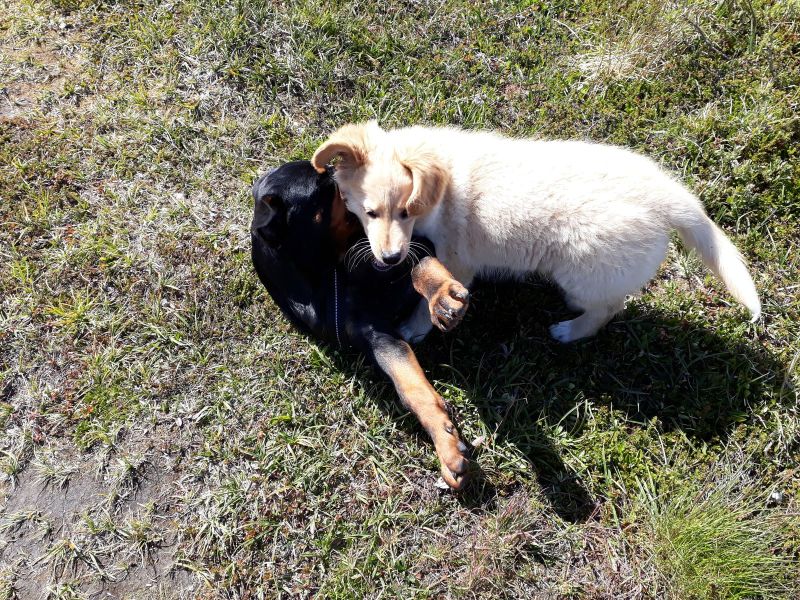 Emily fik besøg af Tyson