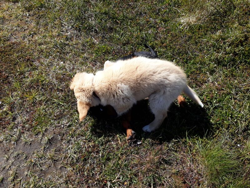 Emily fik besøg af Tyson