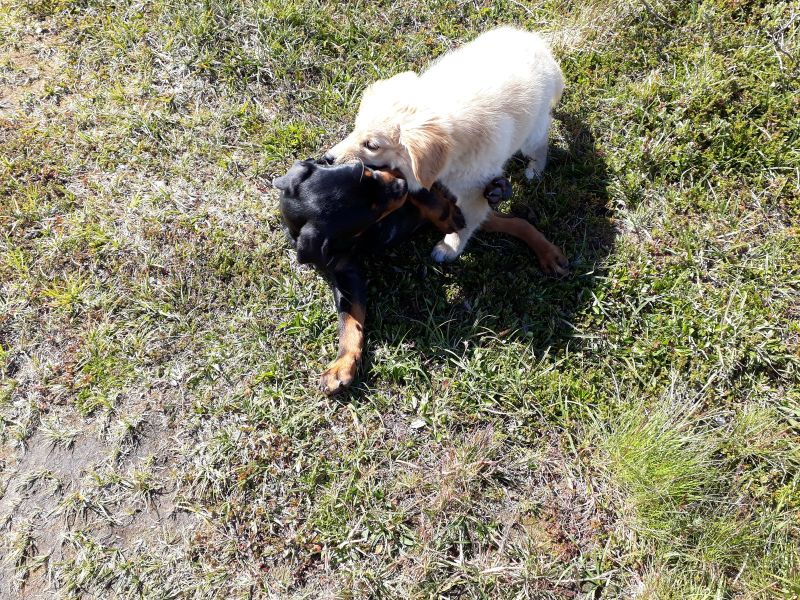 Emily fik besøg af Tyson