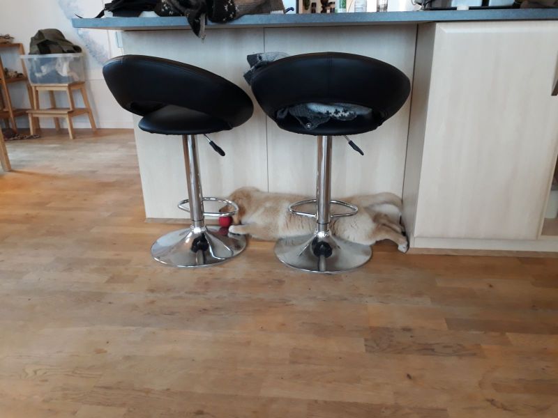 2020-07-09-1924_Emily