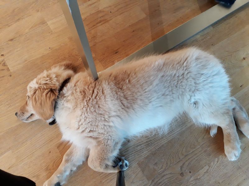 2020-07-10-2114_Emily_2