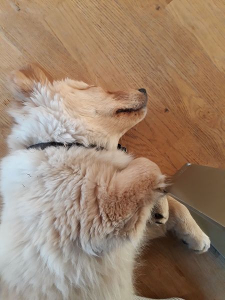 2020-07-10-2130_Emily