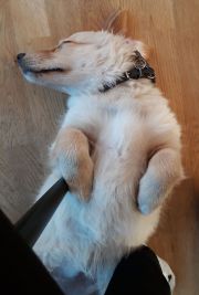 2020-07-10-2134_Bedste_2-Emily