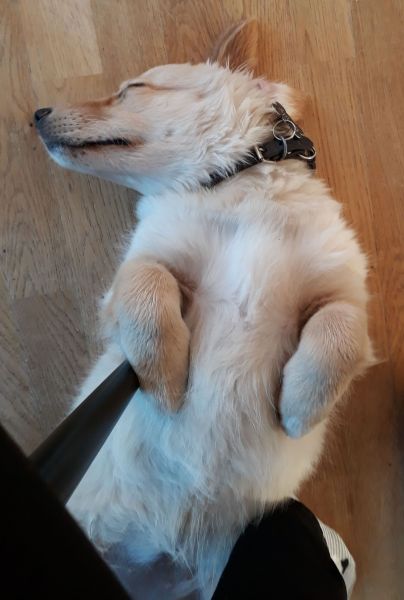 2020-07-10-2134_Bedste_2-Emily