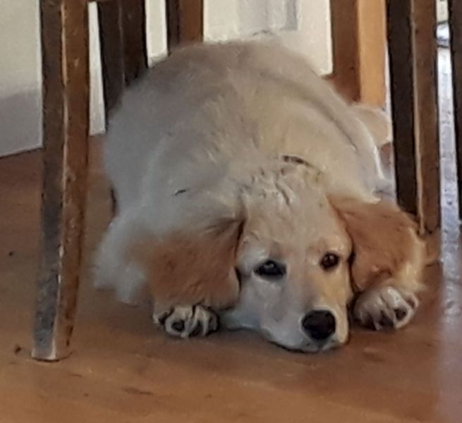 2020-07-10-2140_Emily