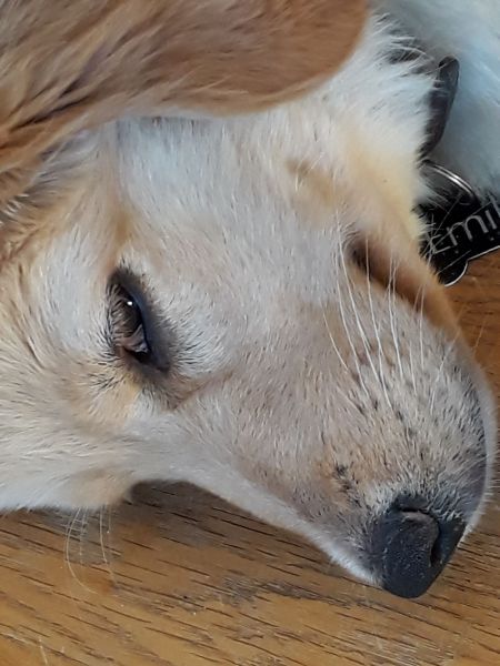 2020-07-10-2151_Emily