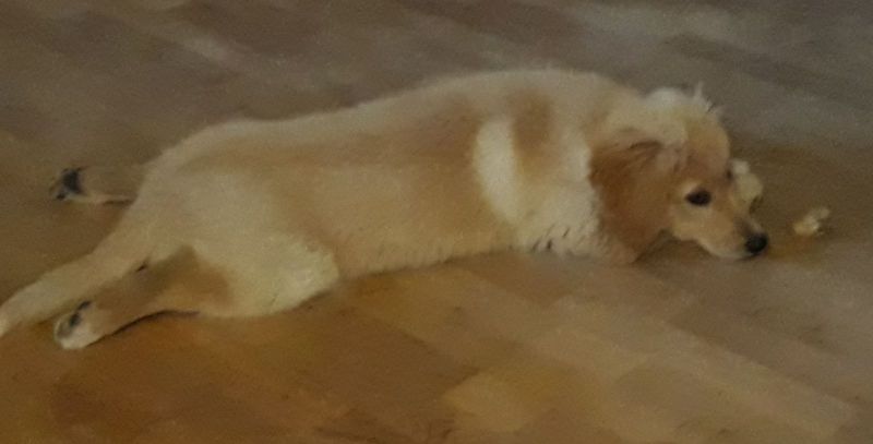 2020-07-10-2353_Emily