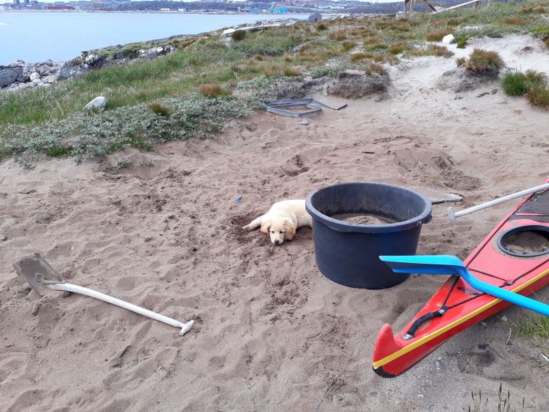 2020-07-11-1415_Emily