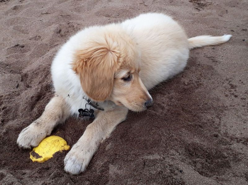 2020-07-11-1416_Emily