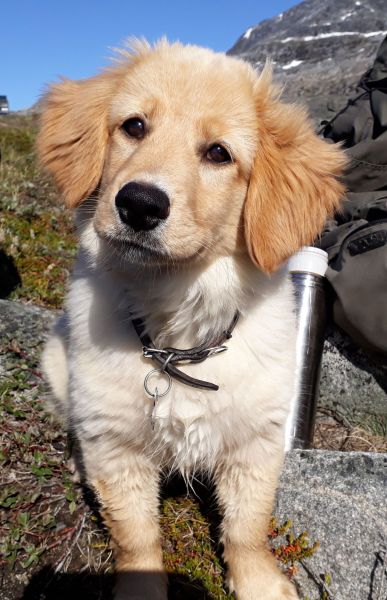 2020-07-11-1728_Bedste_2-Emily