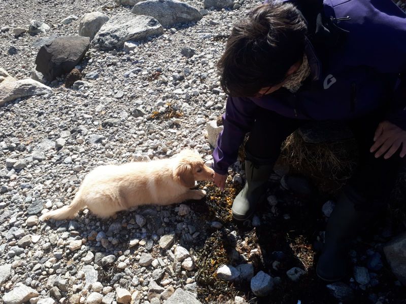 2020-07-11-1748_Anna-Hessler-Labansen-Emily_3