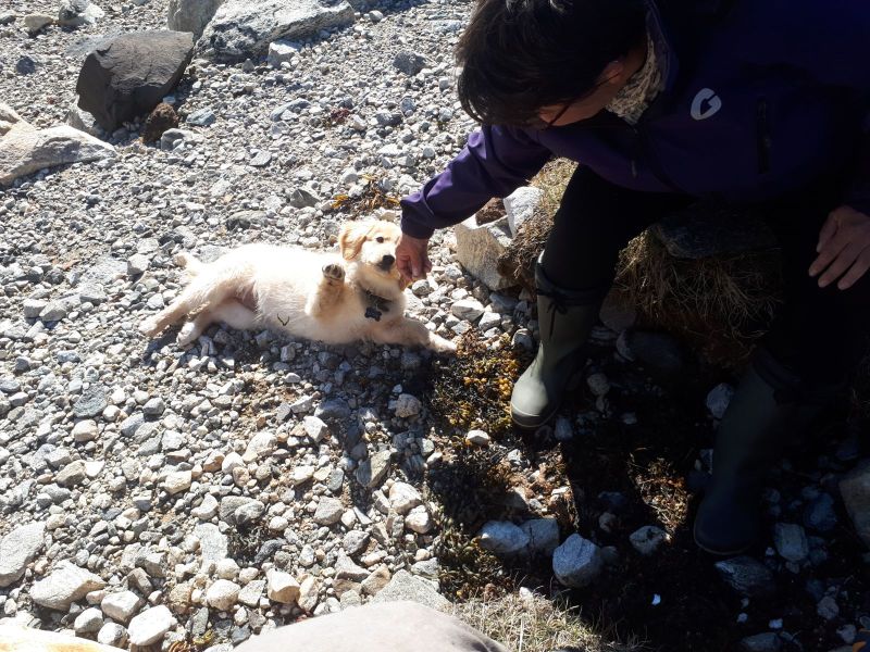 2020-07-11-1748_Anna-Hessler-Labansen-Emily_4